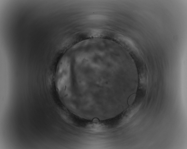 X0000094910503200712061051