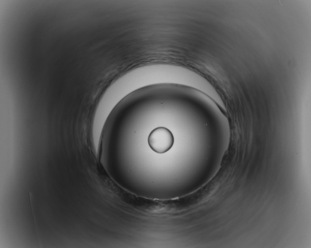 X0000094910504200712061051