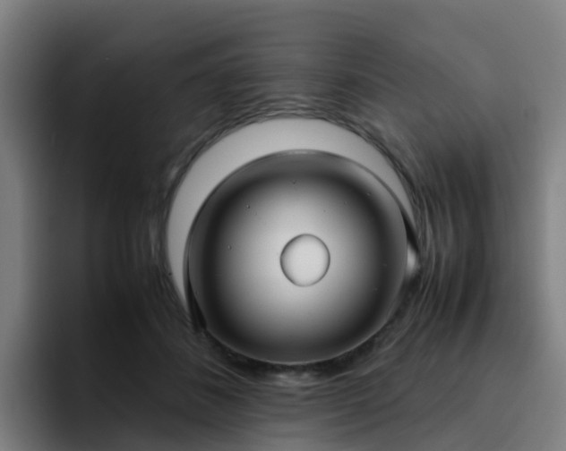 X0000094910508200712061051