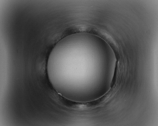 X0000094910509200712061051
