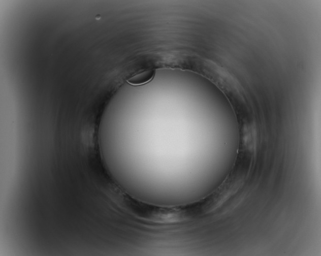 X0000094910514200712061051
