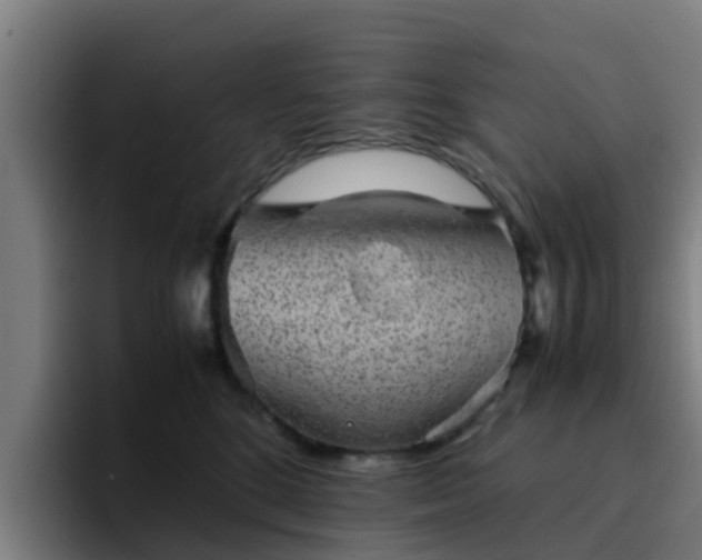 X0000094910520200712061051