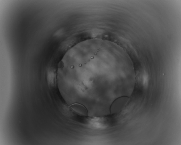 X0000094910527200712061051