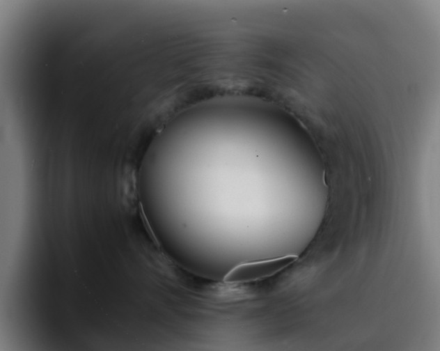 X0000094910528200712061051