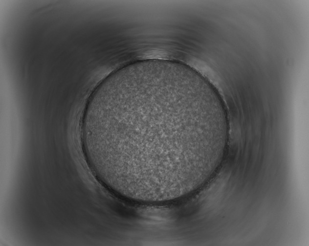 X0000094910529200712061050