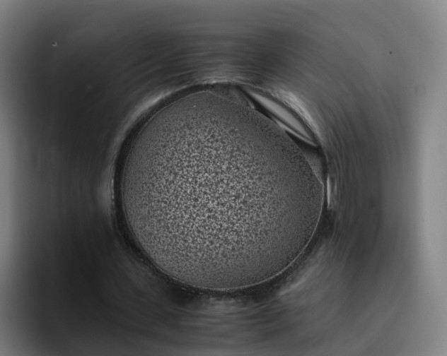 X0000094910531200712061050