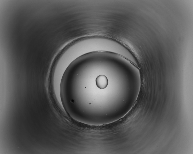 X0000094910532200712061050