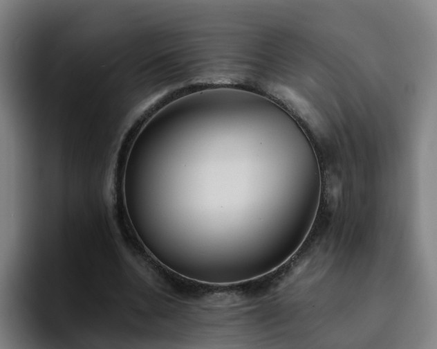 X0000094910536200712061050