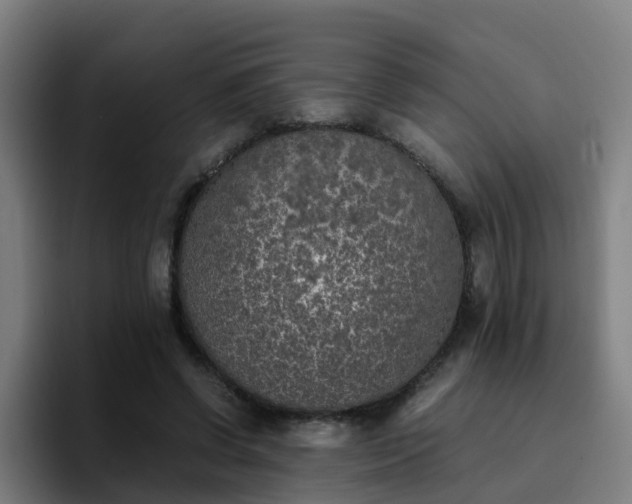 X0000094910542200712061051