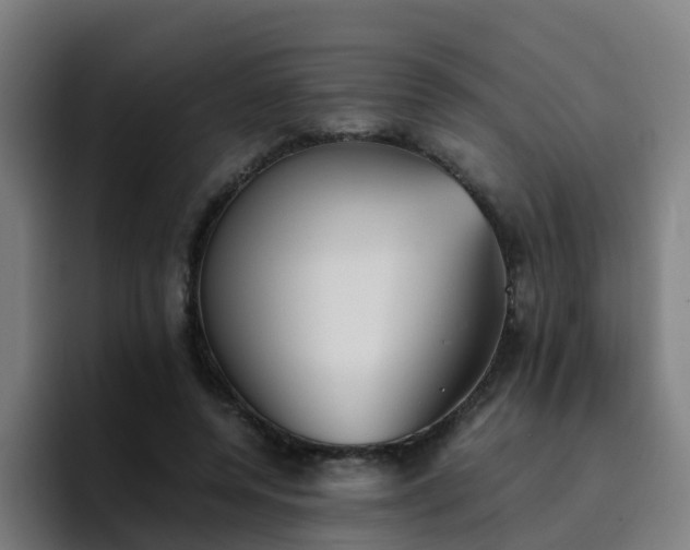 X0000094910544200712061051