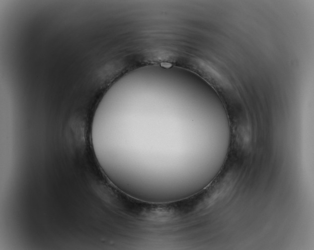 X0000094910546200712061051