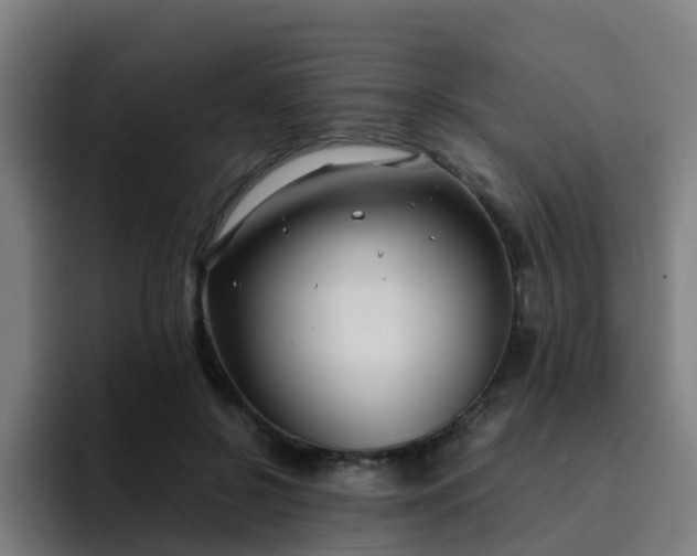 X0000094910550200712061051