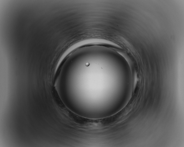 X0000094910552200712061051
