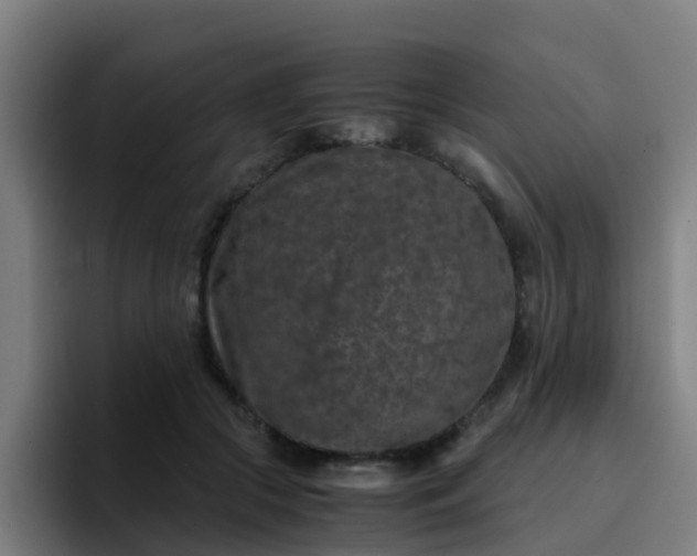 X0000094910553200712061051