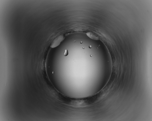 X0000094910554200712061051