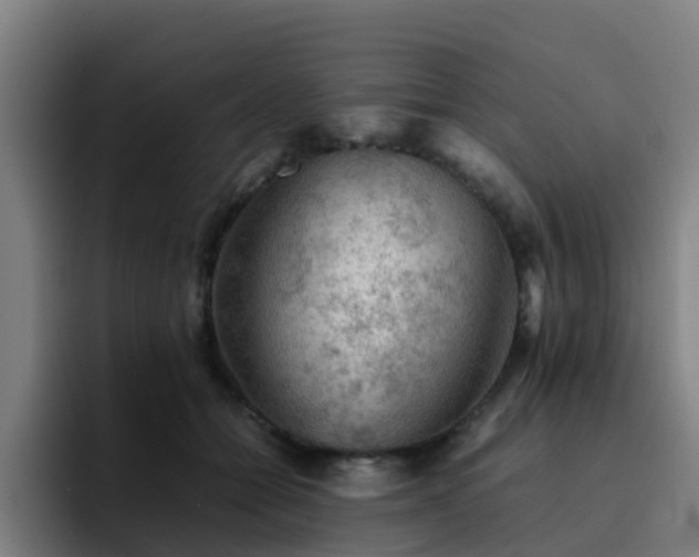 X0000094910558200712061051