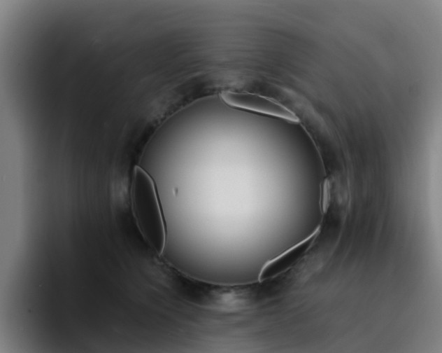 X0000094910564200712061051
