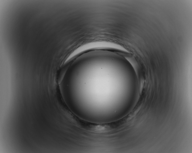 X0000094910566200712061051
