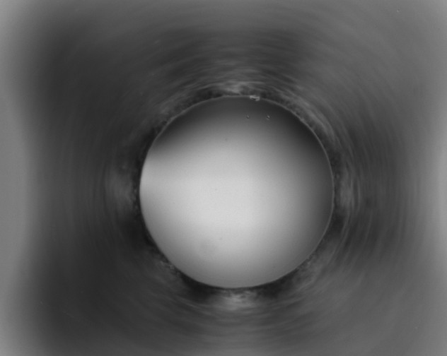 X0000094910569200712061051