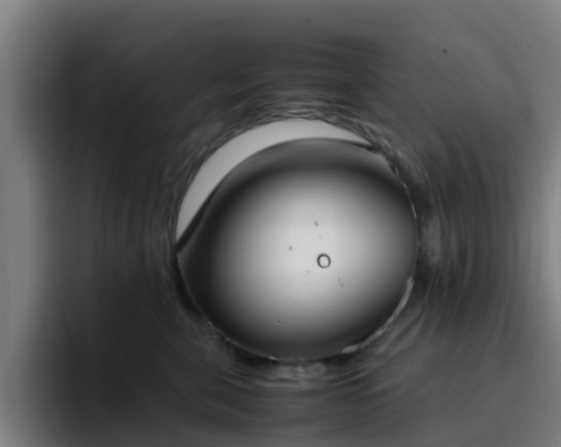 X0000094910571200712061051
