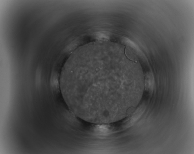 X0000094910573200712061051