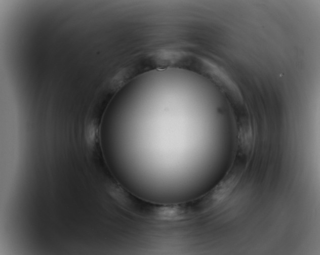 X0000094910574200712061051