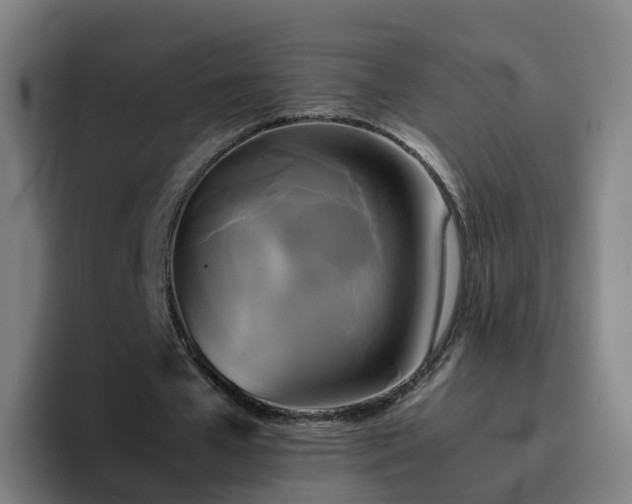 X0000094910577200712061050