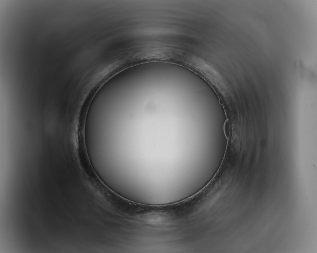 X0000094910578200712061050
