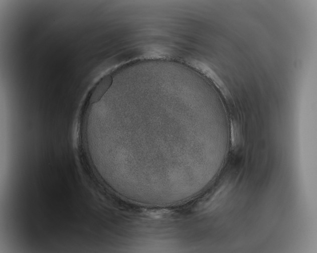 X0000094910579200712061050
