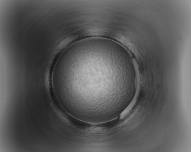 X0000094910581200712061050