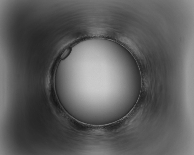 X0000094910583200712061050