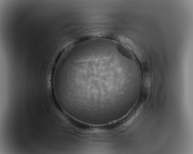 X0000094910585200712061050