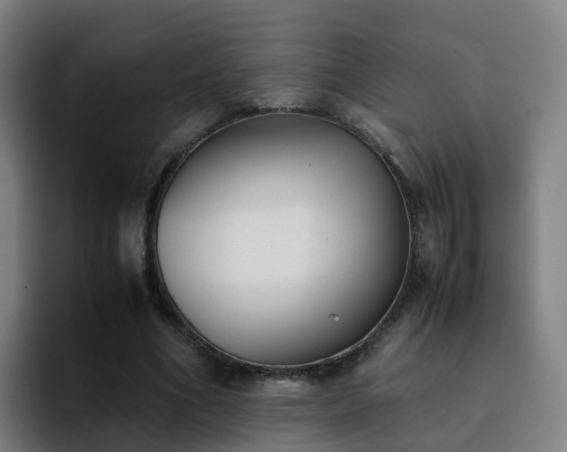 X0000094910586200712061050