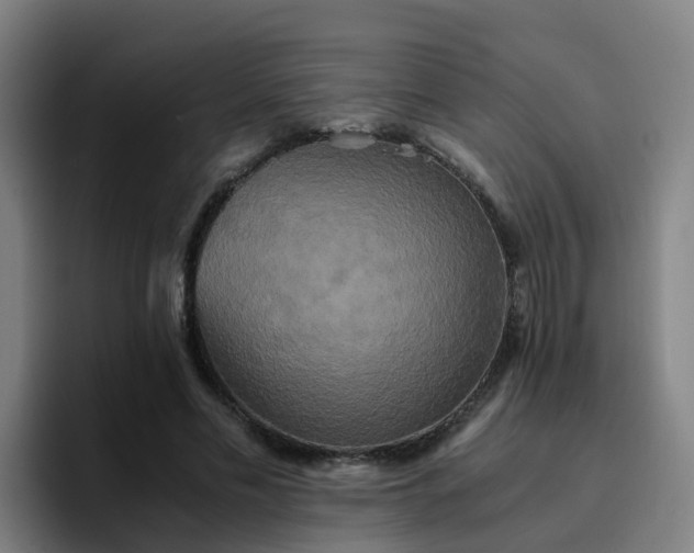 X0000094910589200712061050
