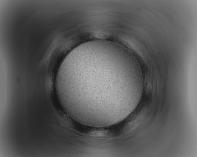 X0000094910595200712061050
