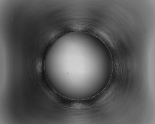 X0000094910596200712061050