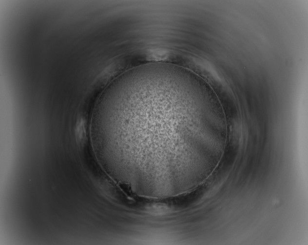 X0000094910598200712061050