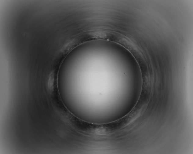 X0000094910600200712061050