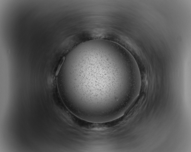 X0000094910601200712061050