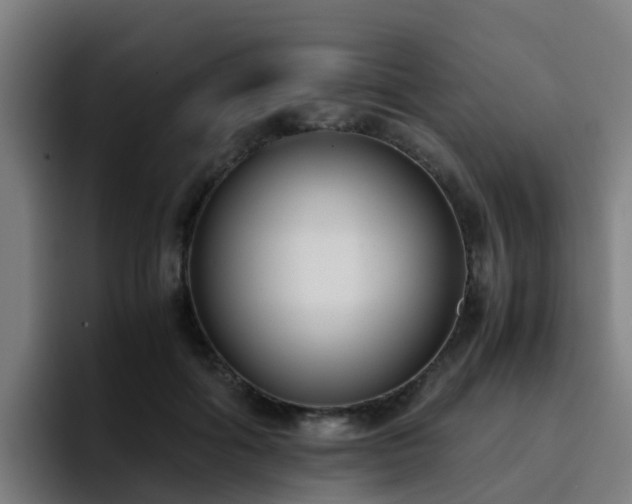 X0000094910602200712061050