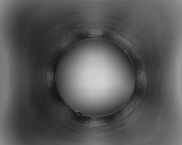 X0000094910608200712061050
