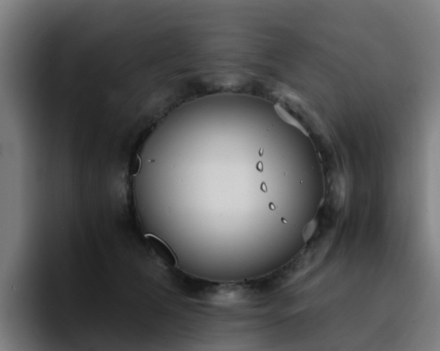 X0000094910612200712061050