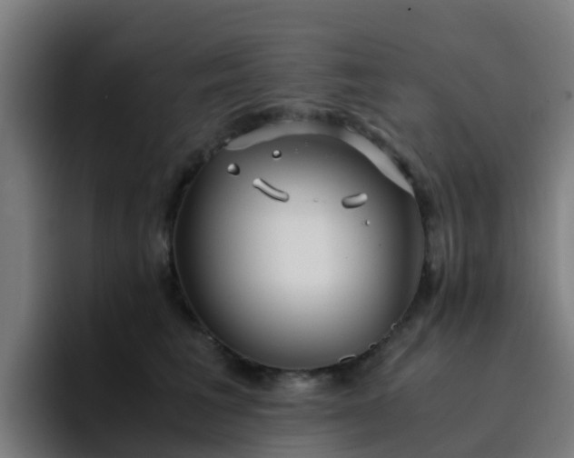 X0000094910613200712061050