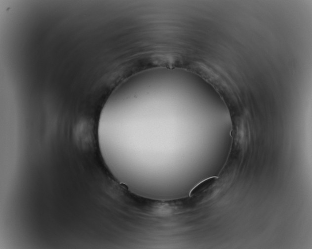 X0000094910616200712061050