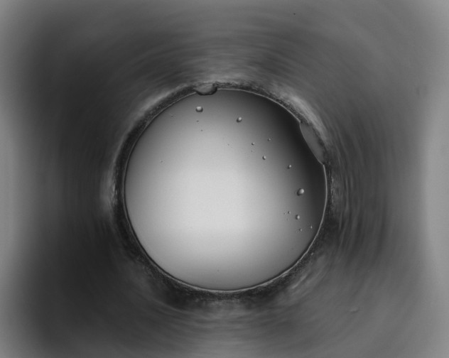 X0000094910628200712061049