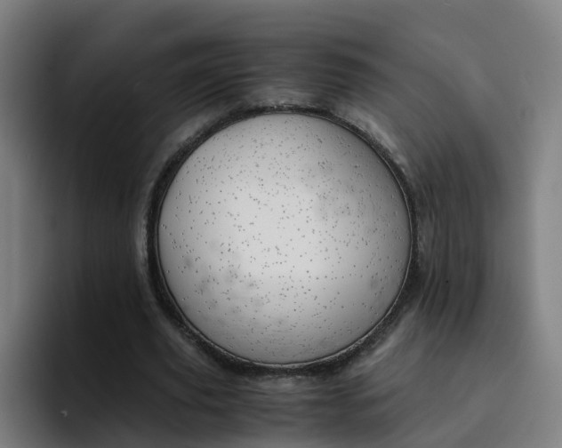 X0000094910629200712061049