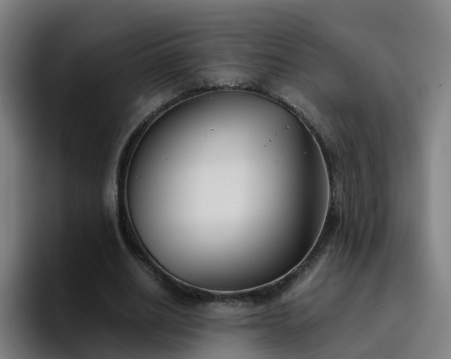 X0000094910630200712061049