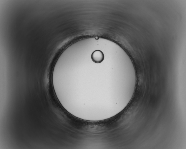 X0000094910632200712061049