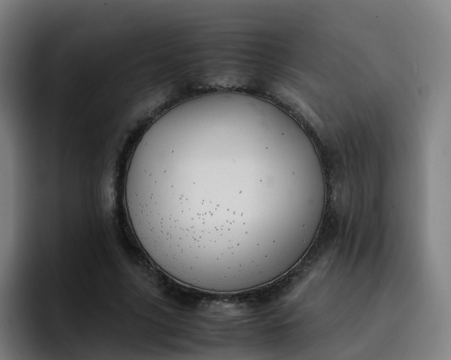X0000094910635200712061049