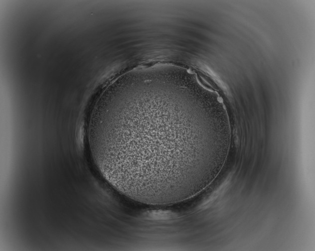 X0000094910637200712061049